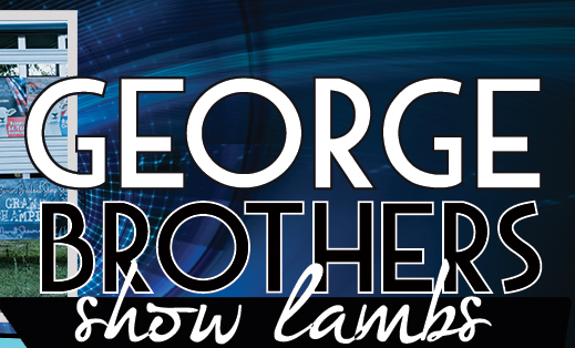 George Brothers Show Lambs  - - Niles, MI