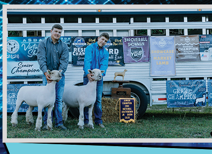 George Brothers Show Lambs  - - Niles, MI