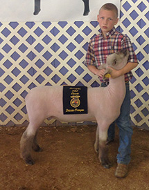 George Brothers Winners