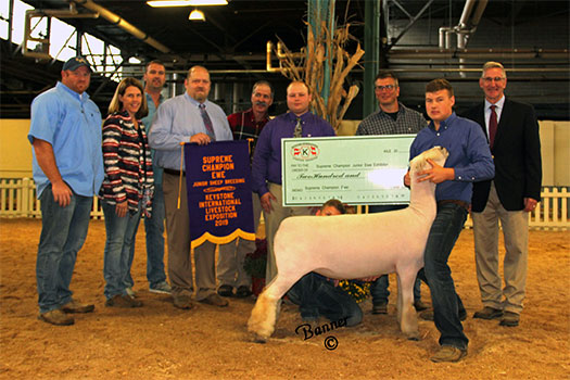 GGeorge Brothers Winners